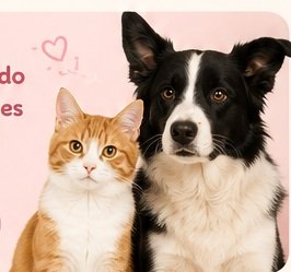 Gato y perro juntos