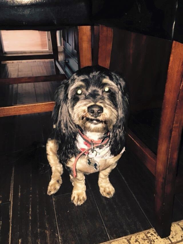 Duvalín en la nieve
