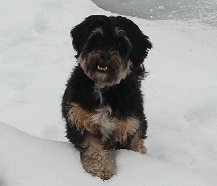 Duvalín sonriendo